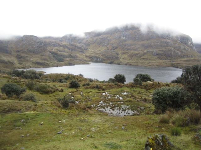 Cajas Nationalpark