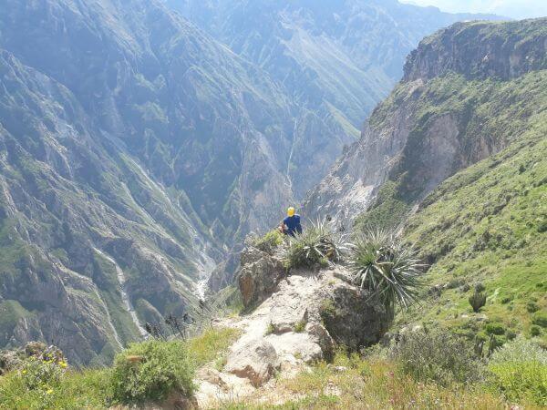 Peru Reise Colca Canyon
